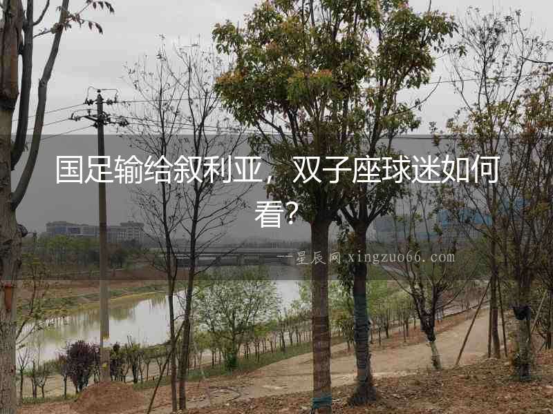 國足輸給敘利亞，雙子座球迷如何看？