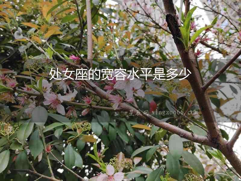 處女座的寬容水平是多少