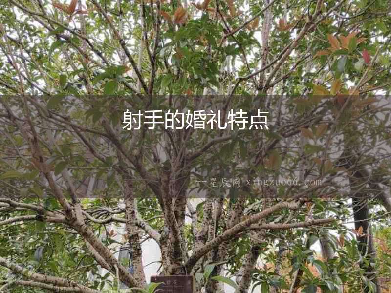 射手的婚禮特點(diǎn)