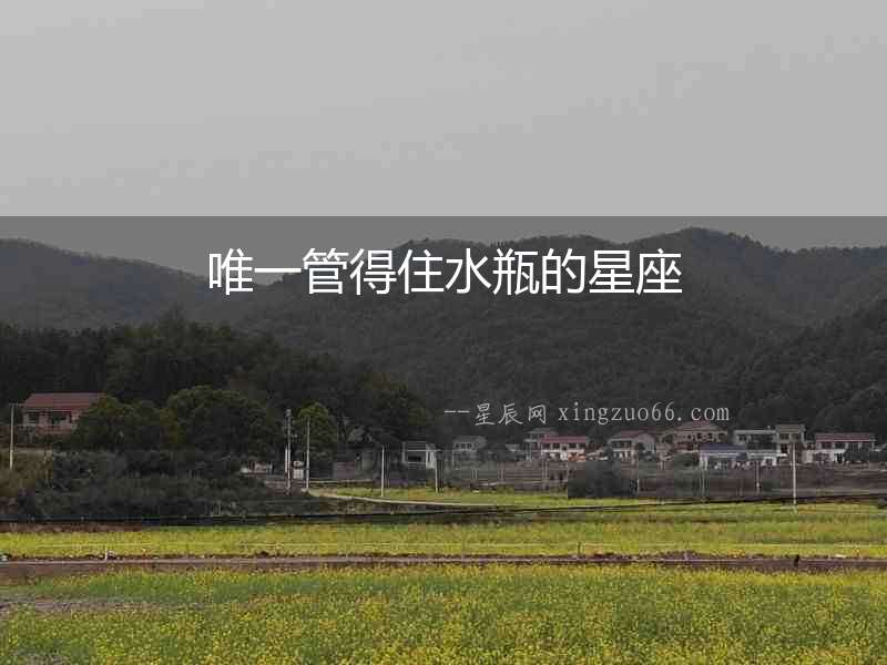 唯一管得住水瓶的星座