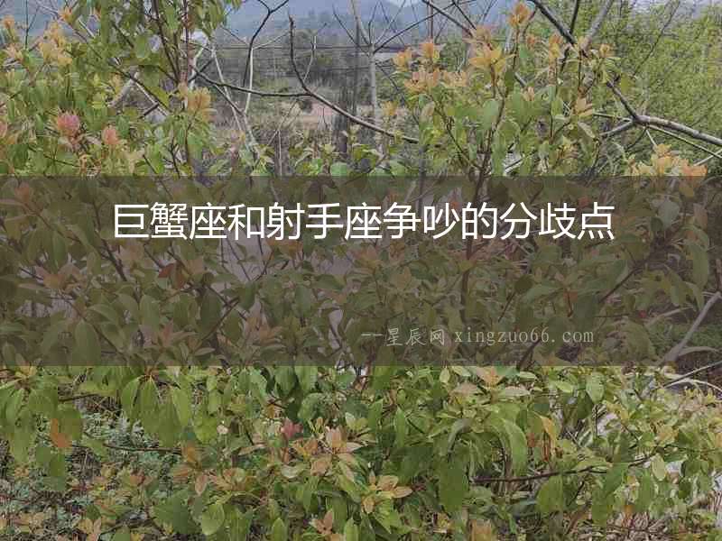 巨蟹座和射手座爭(zhēng)吵的分歧點(diǎn)