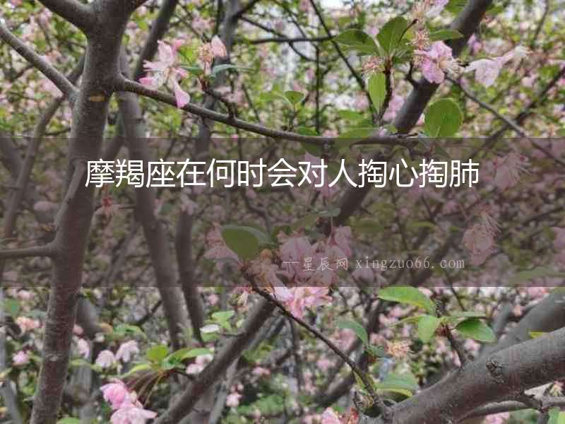 摩羯座在何時會對人掏心掏肺