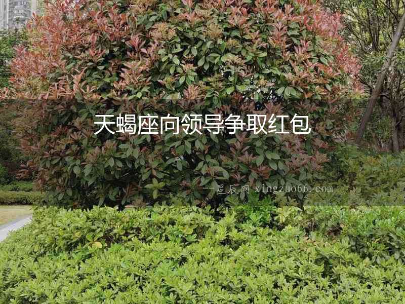 天蝎座向領導爭取紅包