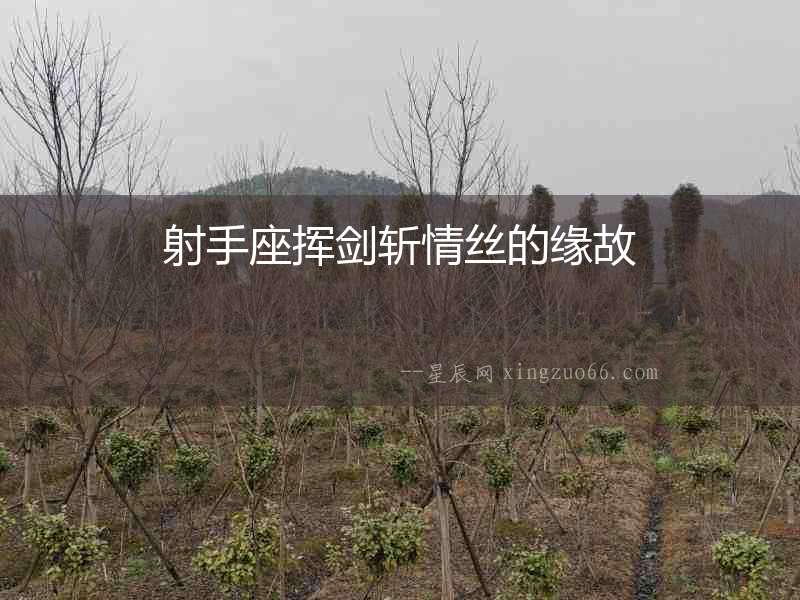射手座揮劍斬情絲的緣故