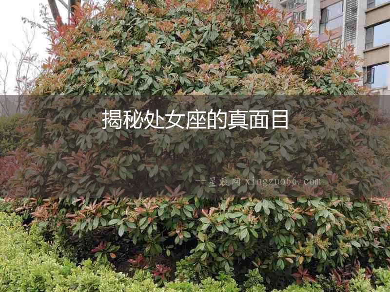 揭秘處女座的真面目