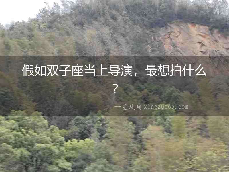 假如雙子座當上導演，最想拍什么？