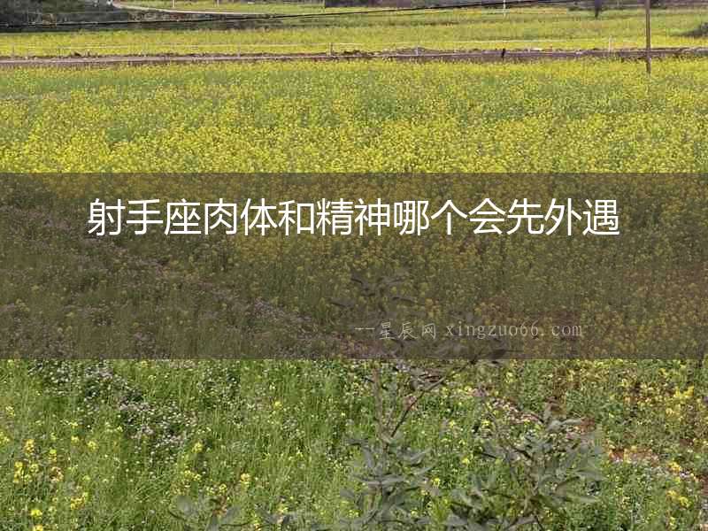 射手座肉體和精神哪個會先外遇