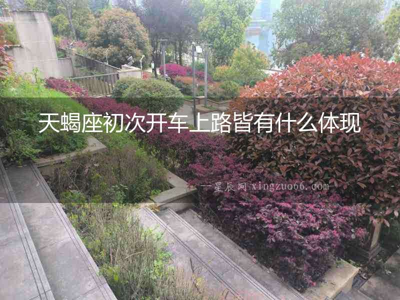 天蝎座初次開車上路皆有什么體現