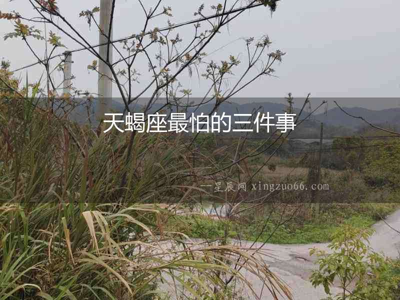 天蝎座最怕的三件事