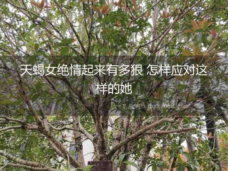 天蝎女絕情起來有多狠 怎樣應(yīng)對(duì)這樣的她