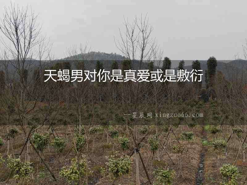 天蝎男對你是真愛或是敷衍