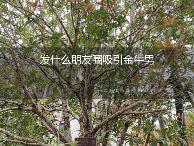 發什么朋友圈吸引金牛男