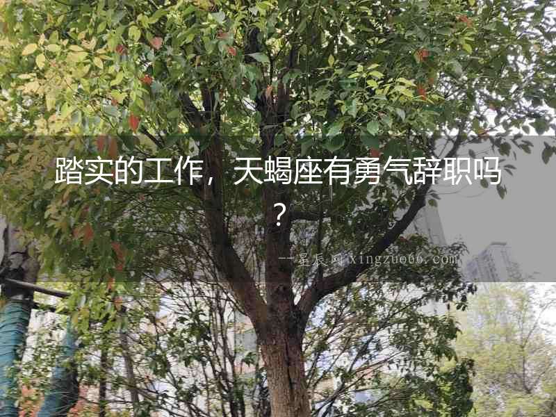 踏實的工作，天蝎座有勇氣辭職嗎？