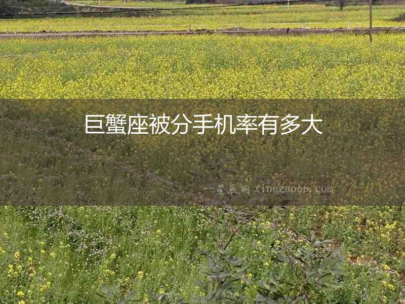 巨蟹座被分手機(jī)率有多大