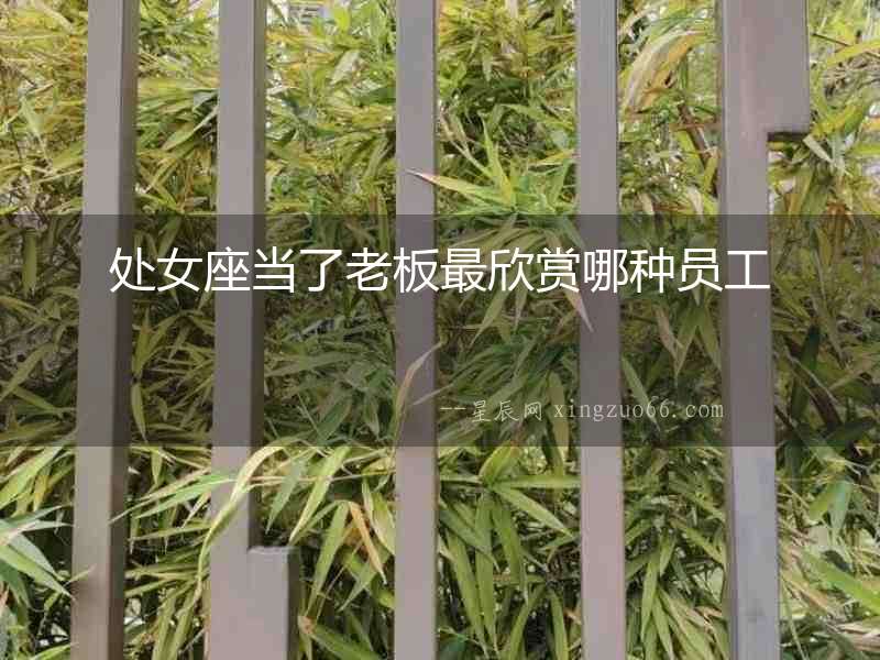 處女座當了老板最欣賞哪種員工