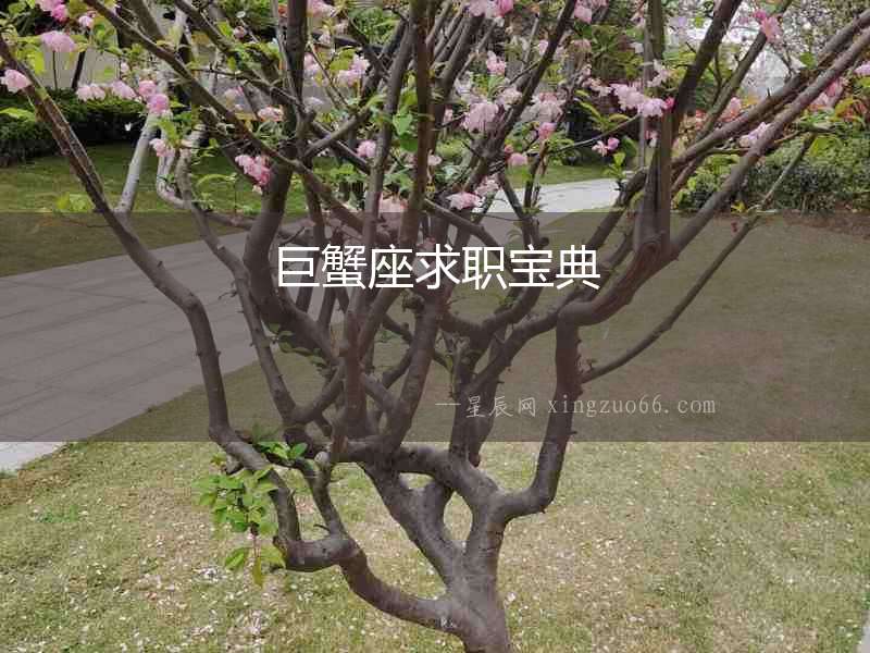 巨蟹座求職寶典