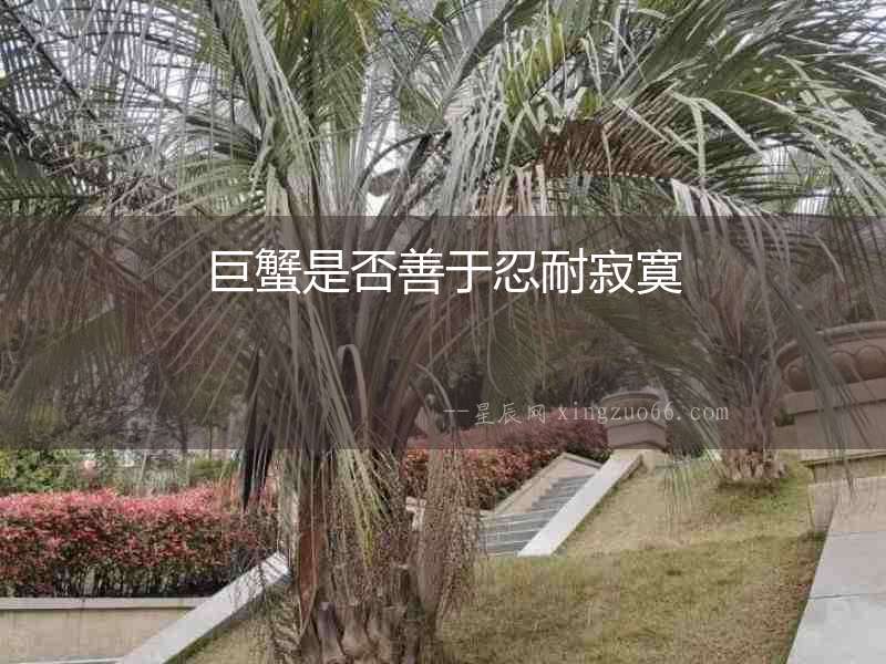 巨蟹是否善于忍耐寂寞