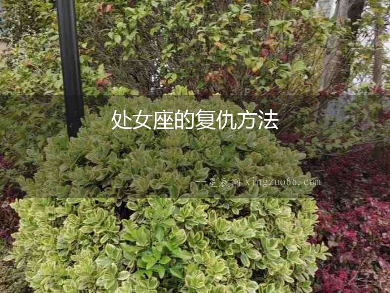 處女座的復(fù)仇方法