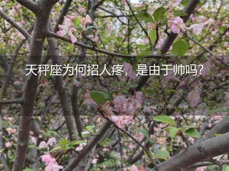 天秤座為何招人疼，是由于帥嗎？