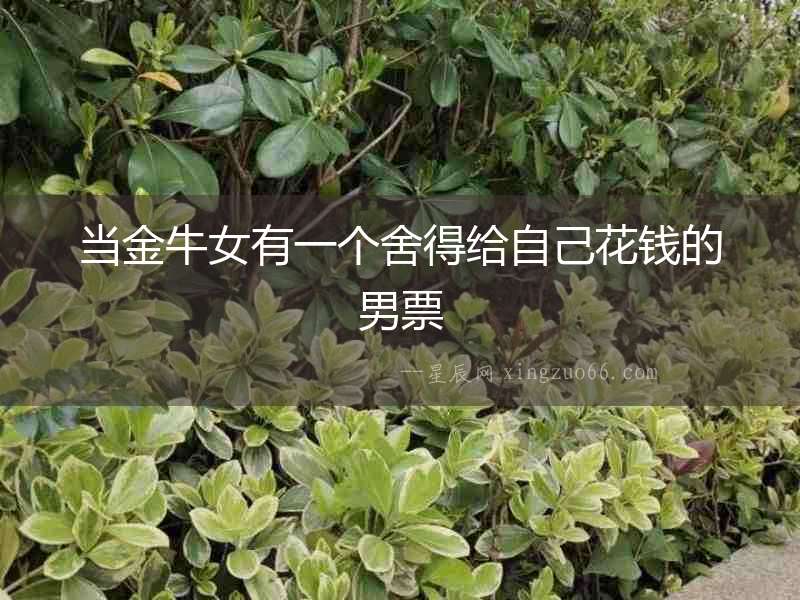 當(dāng)金牛女有一個舍得給自己花錢的男票
