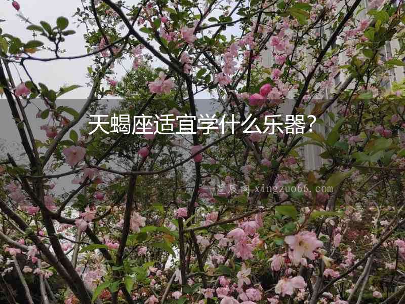 天蝎座適宜學(xué)什么樂器？