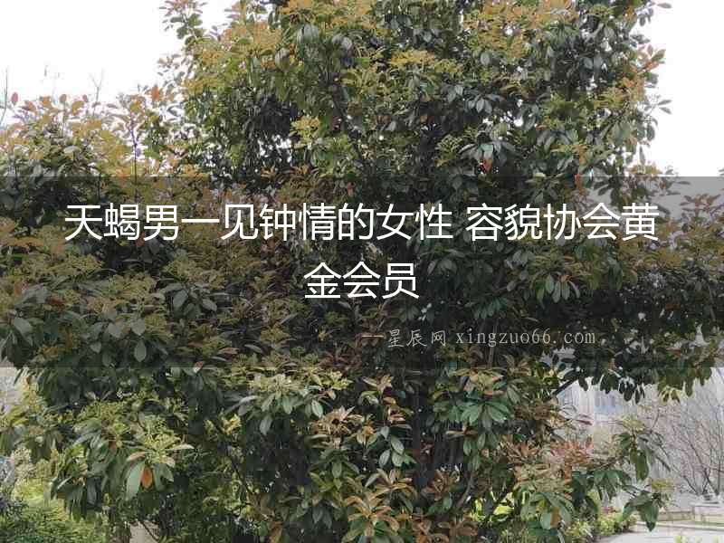 天蝎男一見鐘情的女性 容貌協(xié)會黃金會員