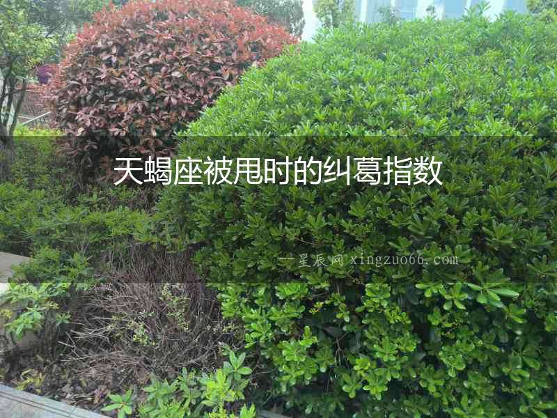 天蝎座被甩時的糾葛指數(shù)