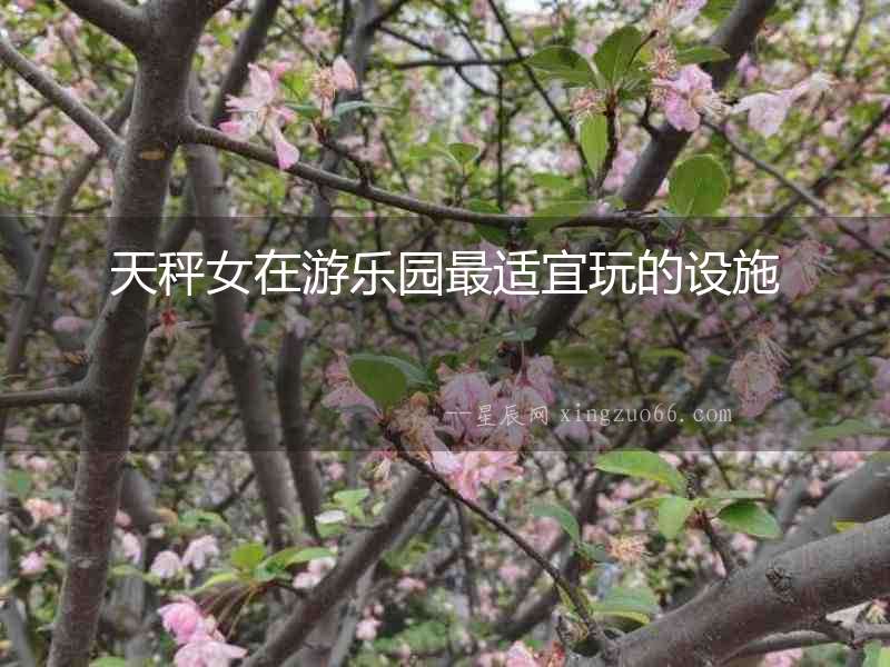 天秤女在游樂園最適宜玩的設(shè)施
