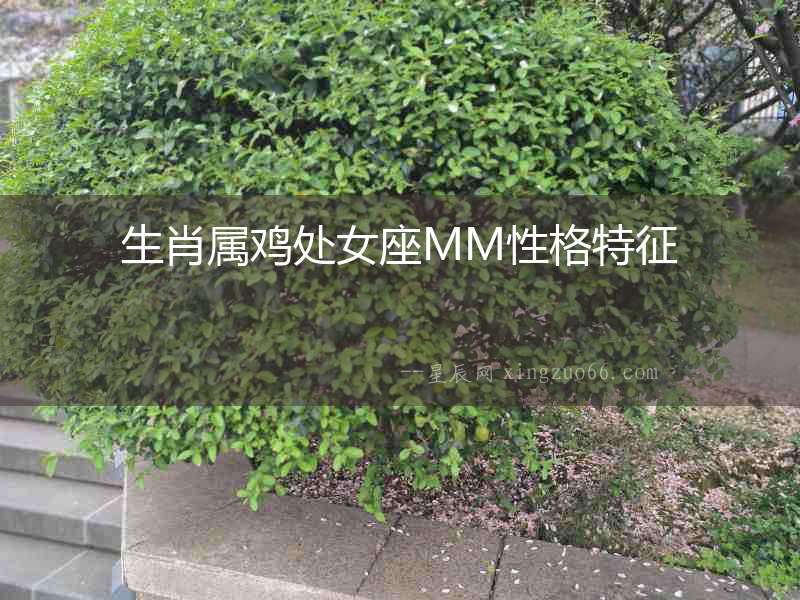 生肖屬雞處女座MM性格特征
