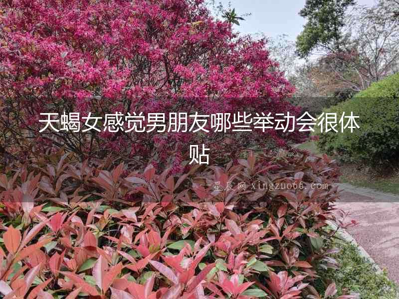 天蝎女感覺男朋友哪些舉動(dòng)會很體貼