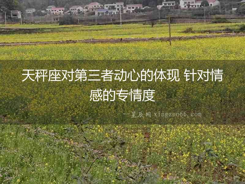 天秤座對第三者動心的體現(xiàn) 針對情感的專情度