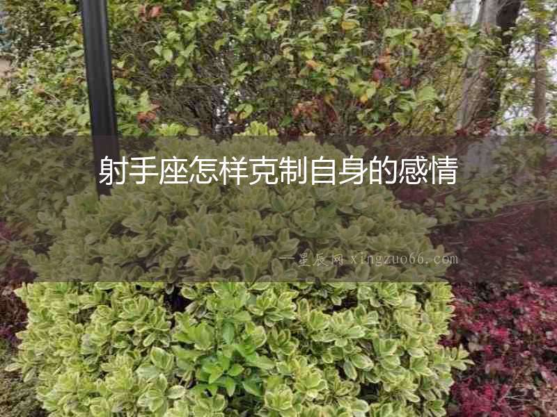 射手座怎樣克制自身的感情