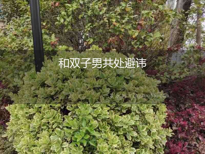 和雙子男共處避諱