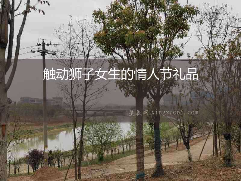 觸動獅子女生的情人節禮品