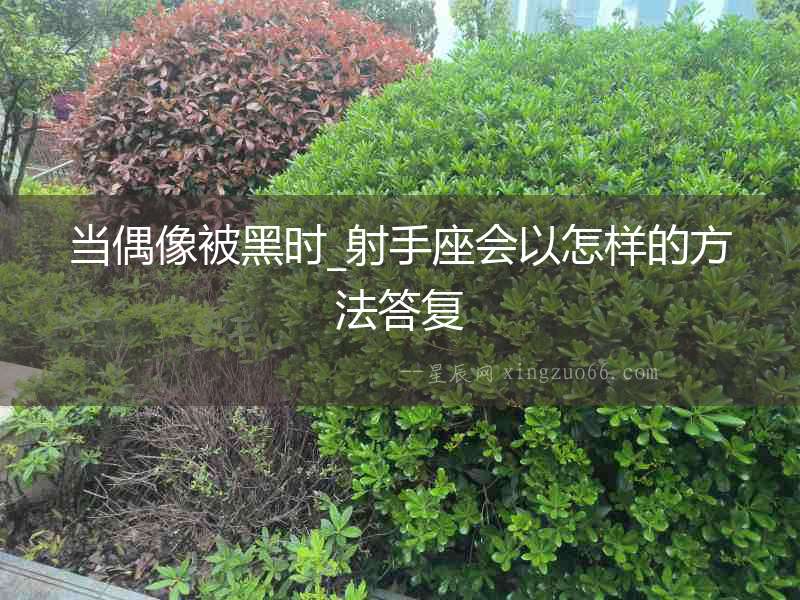 當偶像被黑時_射手座會以怎樣的方法答復