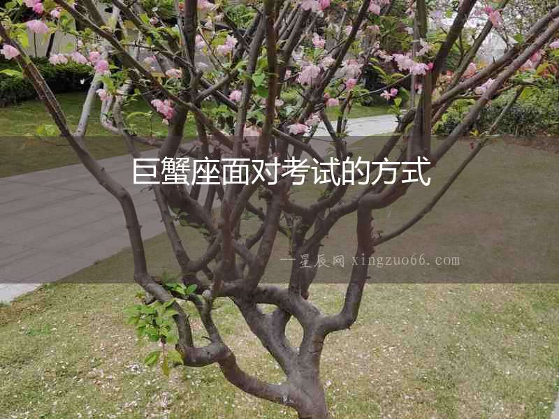 巨蟹座面對考試的方式