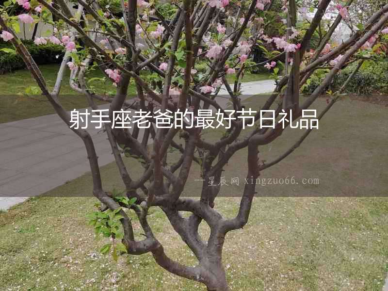 射手座老爸的最好節日禮品