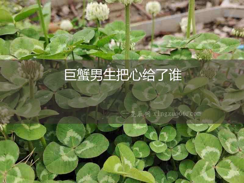 巨蟹男生把心給了誰