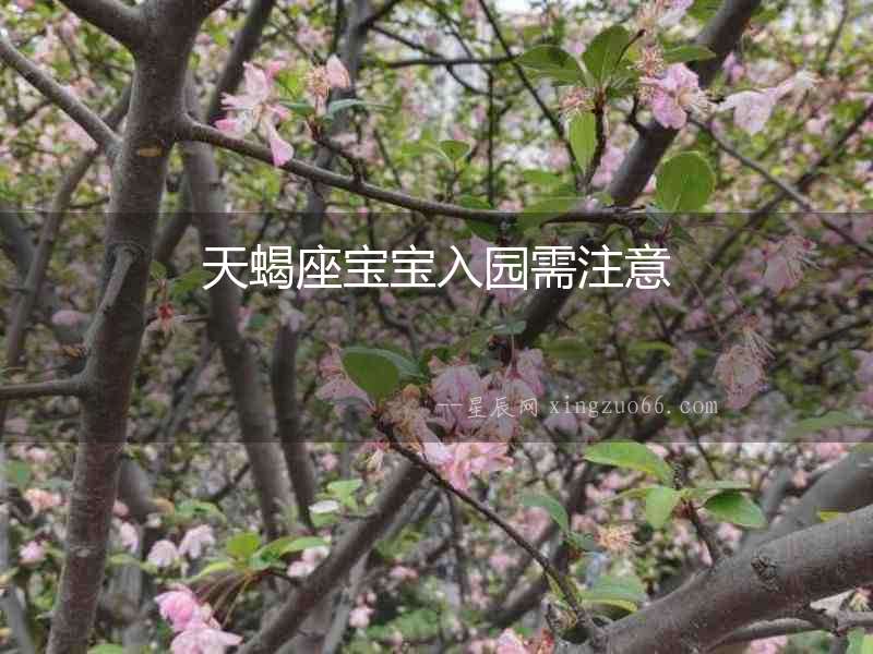 天蝎座寶寶入園需注意
