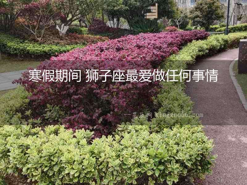 寒假期間 獅子座最愛做任何事情