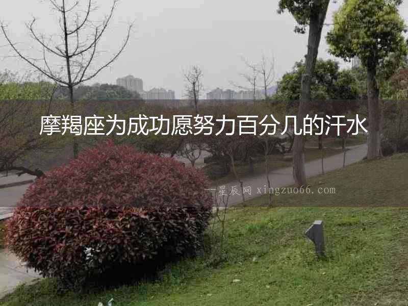 摩羯座為成功愿努力百分幾的汗水