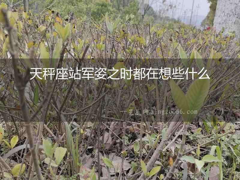 天秤座站軍姿之時都在想些什么