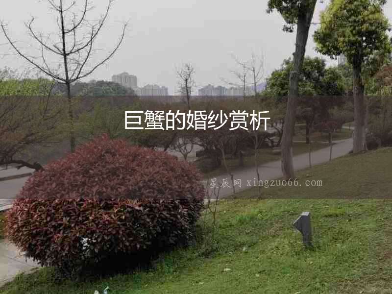 巨蟹的婚紗賞析