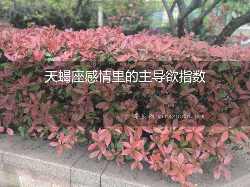 天蝎座感情里的主導欲指數