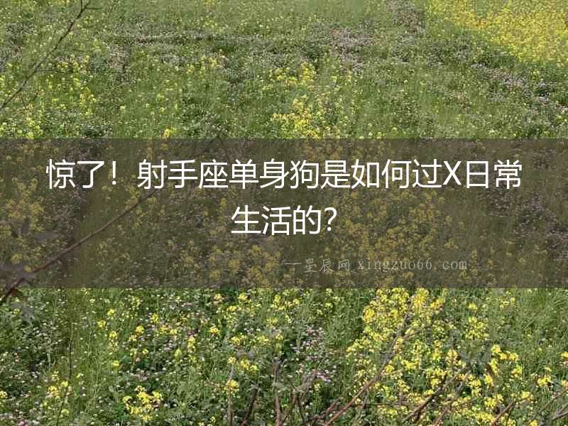 驚了！射手座單身狗是如何過X日常生活的？