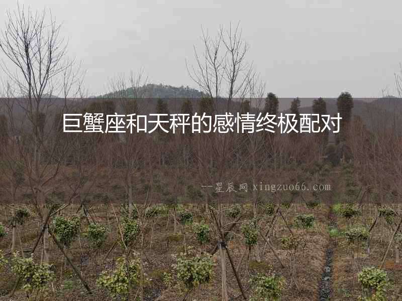 巨蟹座和天秤的感情終極配對