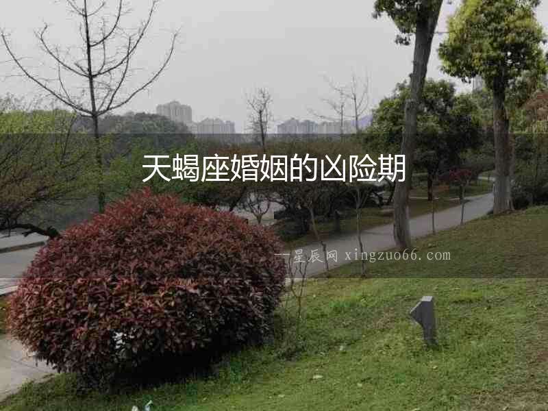 天蝎座婚姻的兇險(xiǎn)期