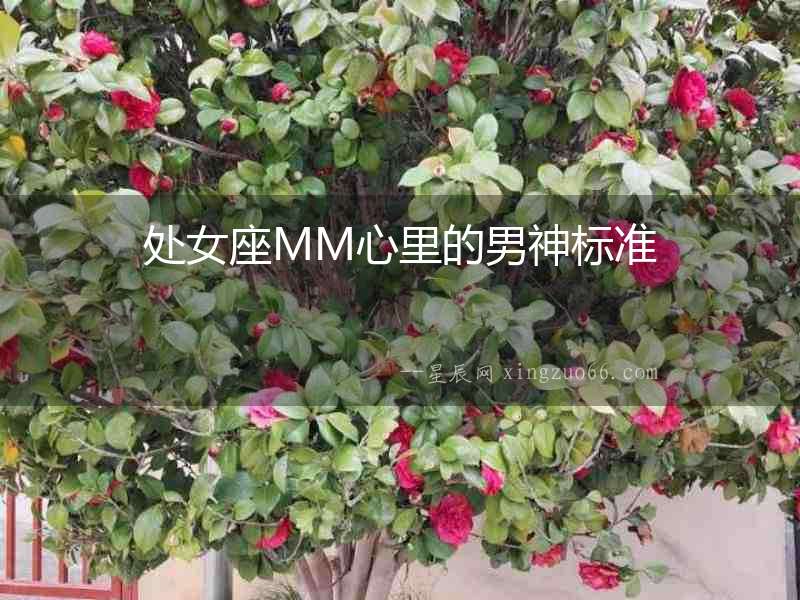 處女座MM心里的男神標準