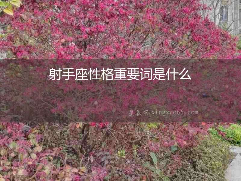 射手座性格重要詞是什么