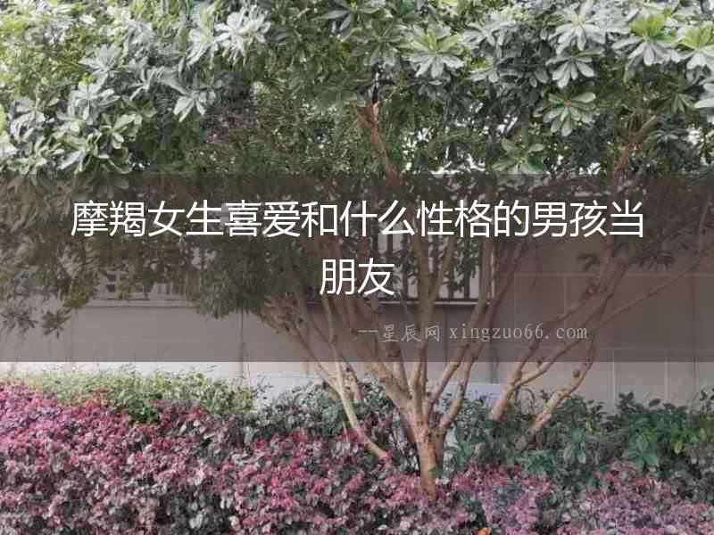 摩羯女生喜愛和什么性格的男孩當(dāng)朋友
